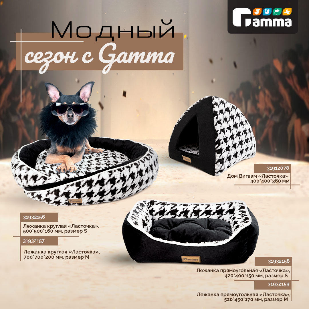 Модный сезон с Gamma | AMMA